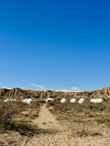Feel Nomad Yurt Camp - 35