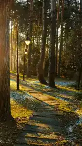 Dom Otdykha Elochki Sanatorium - 12