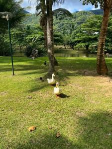 STORY Seychelles - 36