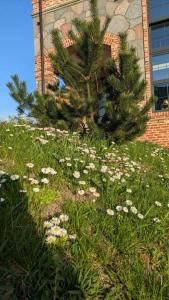 Alpha Garden Guest House - 42