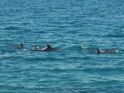 Pickalbatros Dana Beach Resort - Aqua Park - 68