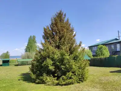 Turisticheskij Kompleks Botik Recreation center - 14