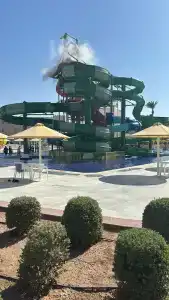 Beach Albatros Resort - 54