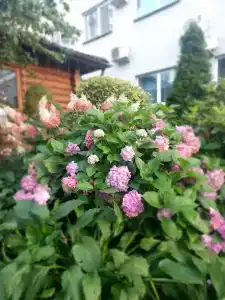 У Фонтана - 14