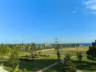 Asteria Bloom Side - 15