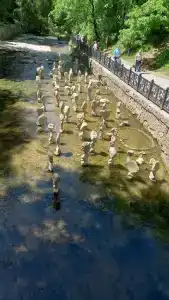 Sanatorii Lesnoi - 36