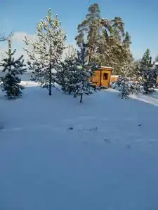 Detskiy Sanatoriy "Rosinka" - 57