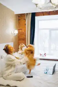 Арт Деко Невский - 16