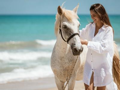 Amirandes Grecotel Boutique Resort - 13