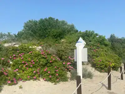 Baltiyskie Holmy - 5