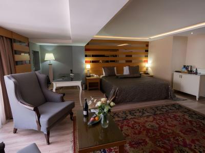 The Green Park Taksim - 35