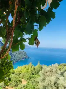 Kabak Misafir Evi - 22