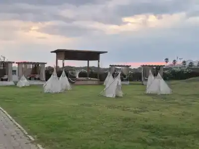 Tui Magic Life Jacaranda - 31