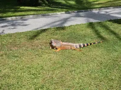 Kimeros Park Holiday Village - Ultra All Inc. Kids Concept - 40