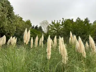 Belarus Sanatorium - 36