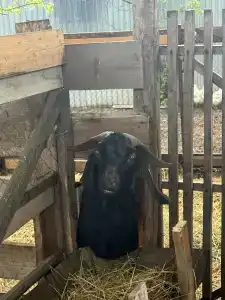 ZaGrad Tourist base - 62