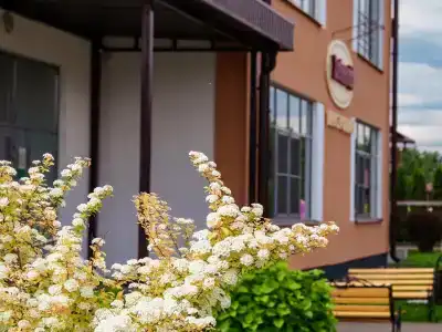 Spasskoe Park-Hotel - 38