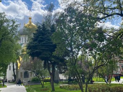 Спектр Хамовники - 19