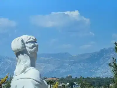 Asteria Bloom Side - 21