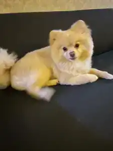 Saint Star Kemer - Adult Only +16 - 39