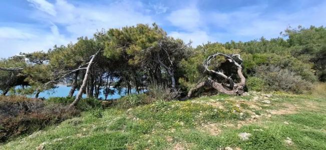 Justiniano Deluxe Resort – All Inclusive - 46