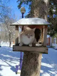 Sanatorii Lesnoi - 17