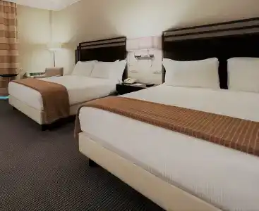 Crowne Plaza Rome St. Peter's, an IHG - 86
