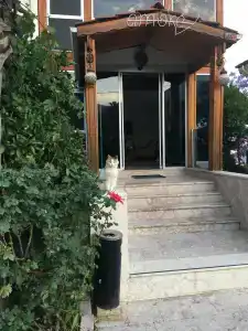 Amore Teki̇Rova - 45