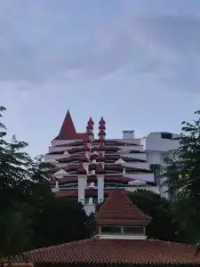 Green Max - All Inclusive - 29