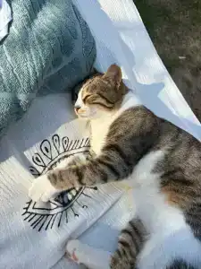 Titanic Luxury Collection Bodrum - 28