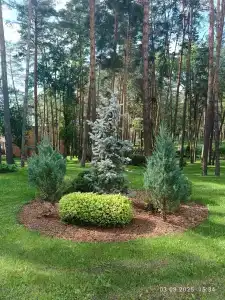 Lesnaya Opushka Tourist base - 19