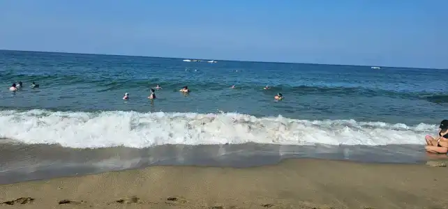 Kleopatra Royal Palm - 38