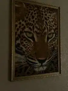 Baunti Guest house - 30