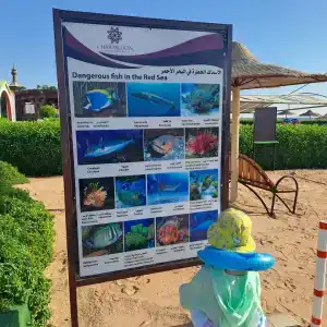 Charmillion Gardens Aquapark - 15