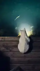 Yacht Classic - Boutique Class - 47