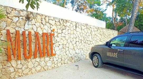 Muaré - 1