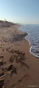 Asteria Collection - 48