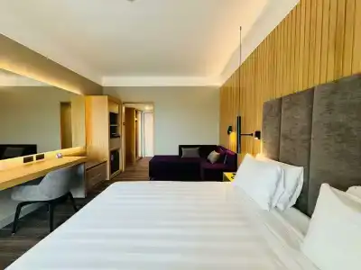Crowne Plaza Rome St. Peter's, an IHG - 98