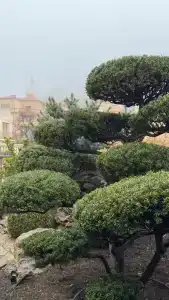 Villa Balgatura Concept & Apartaments - 22
