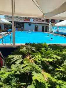 Golden Resort - 49