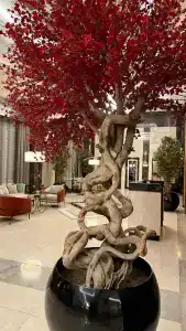 Sheraton - 6