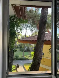 Grand Yazici Club Turban Termal - 21