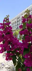 Club Sun Heaven - 25