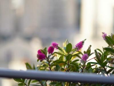 Le Montmartre Saint Pierre - 19