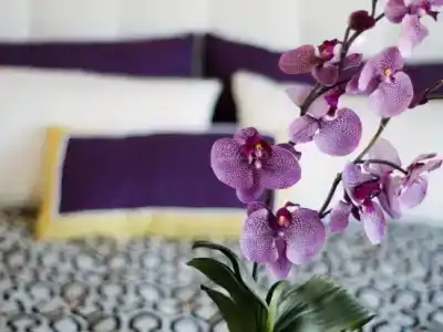 Allium Bodrum Resort & Spa - 17