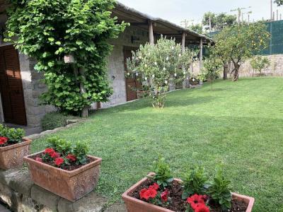Giardino Sorrentino - 10