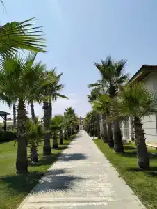 Crystal Boutique Beach Resort - Adults Only - 8