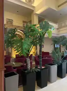 Le Grande Plaza - 66