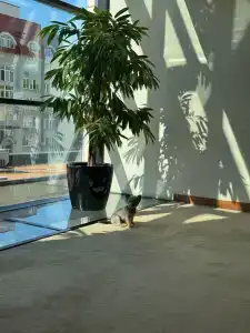 Holiday Inn, an IHG - 48