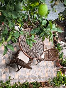 Caretta Pansiyon - 15